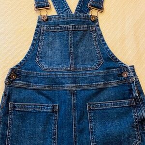 Free People Flare Overalls